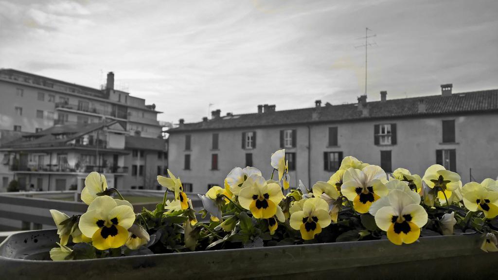 Airport Station Bergamo Hotel Luaran gambar